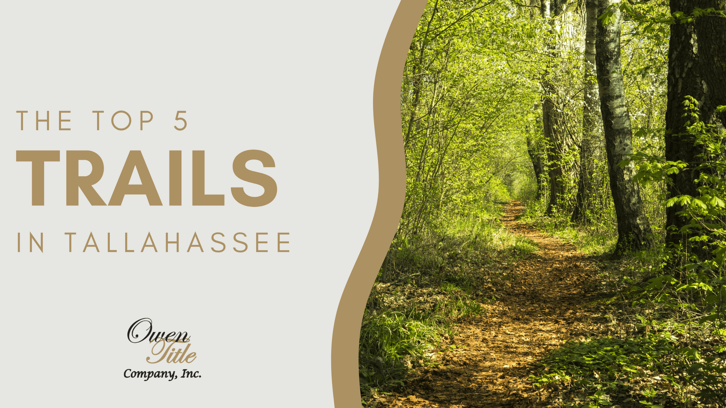 Top 5 Trails in Tallahassee Top 5 Trails in Tallahassee