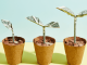 Header Image 20230103 Blog original
